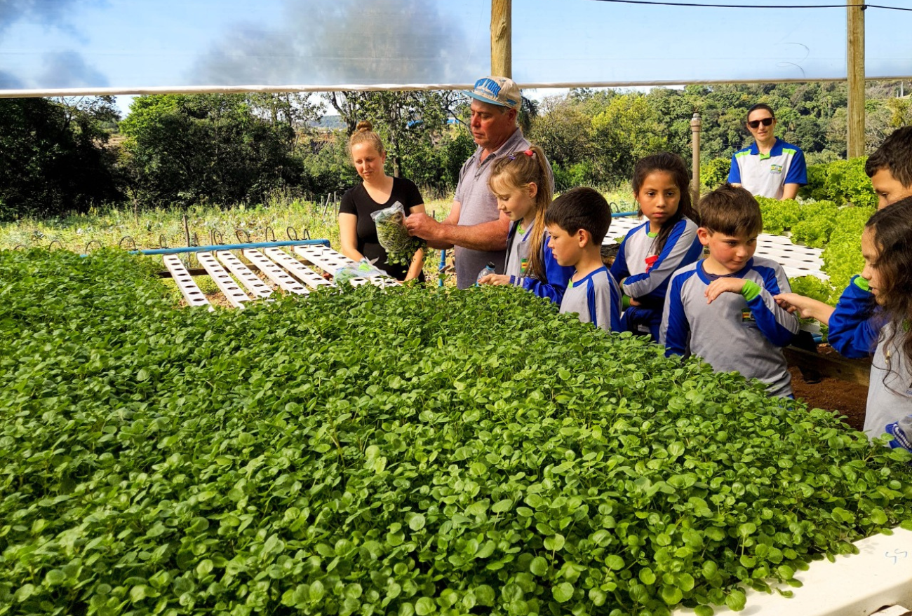 Alunos da Escola Maker de Cordilheira Alta conhecem produção de hortaliças hidropônicas