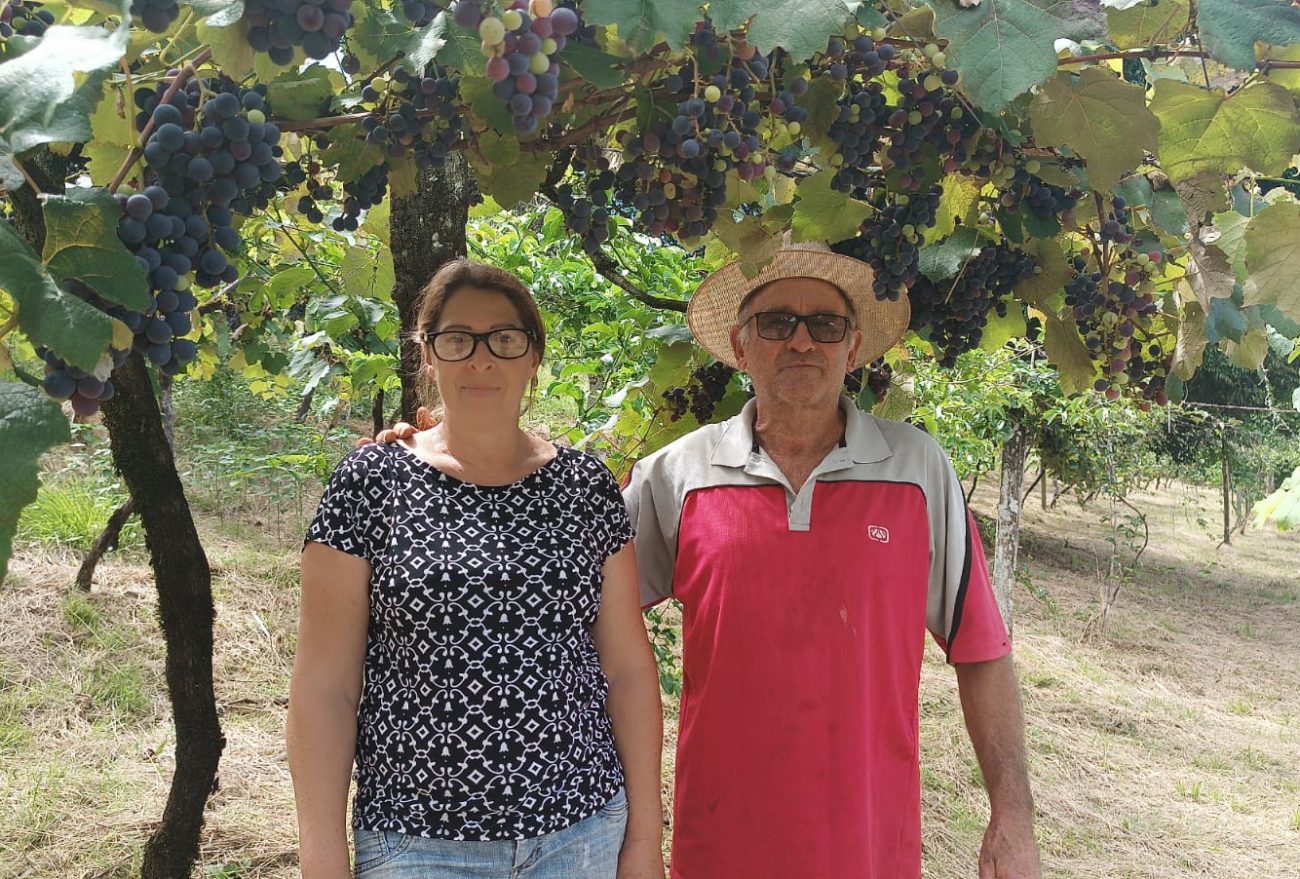 Lance no Campo: Conheça a propriedade da família Turcatel