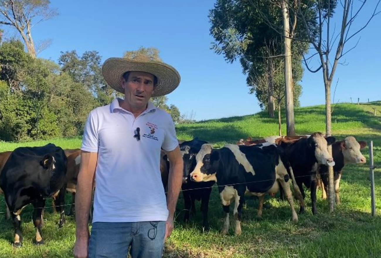 Lance no campo: conheça a história da família Bordignon, que há mais de 50 anos lida com gado leiteiro