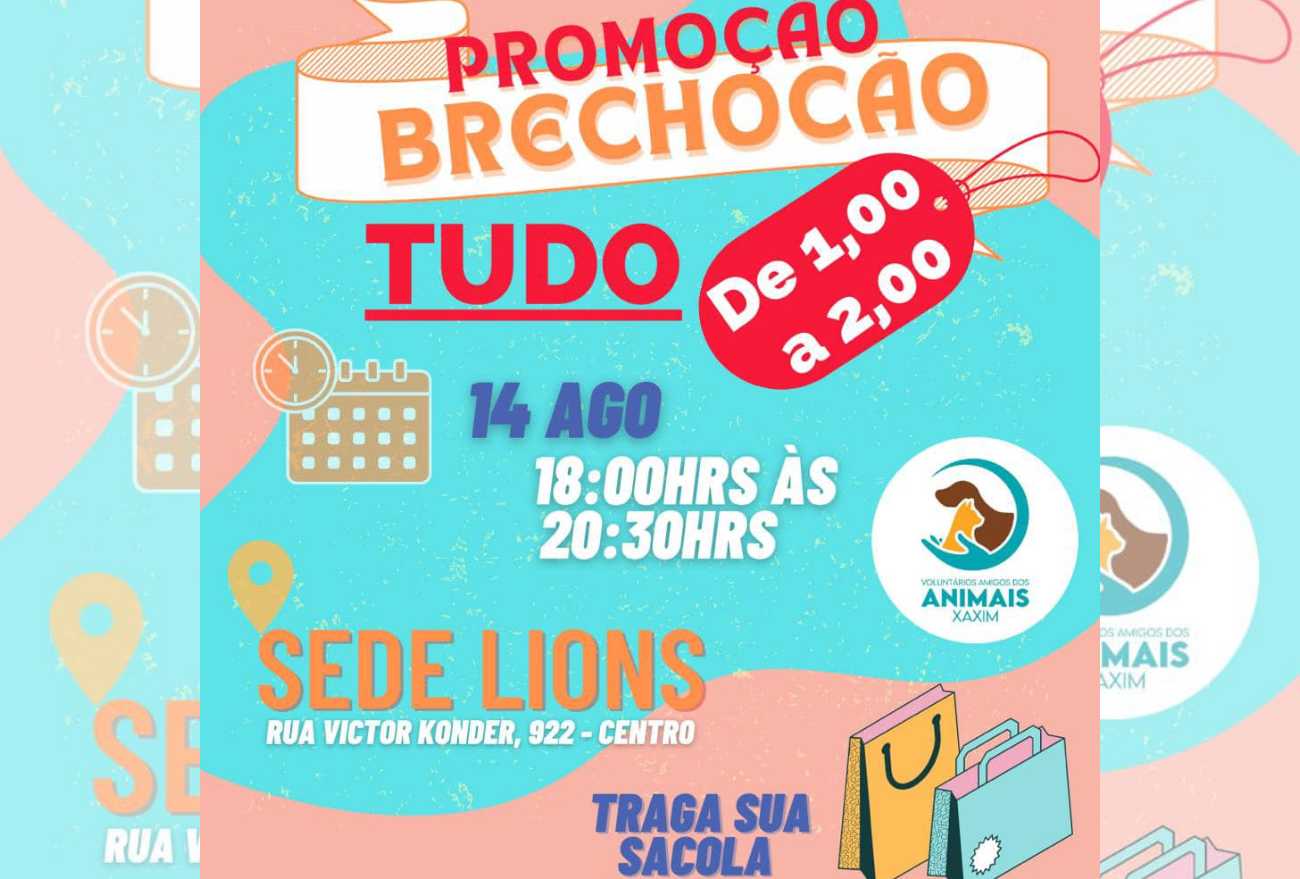 Oportunidade imperdível: Voluntários Amigos dos Animais realiza nova edição do Brechócão