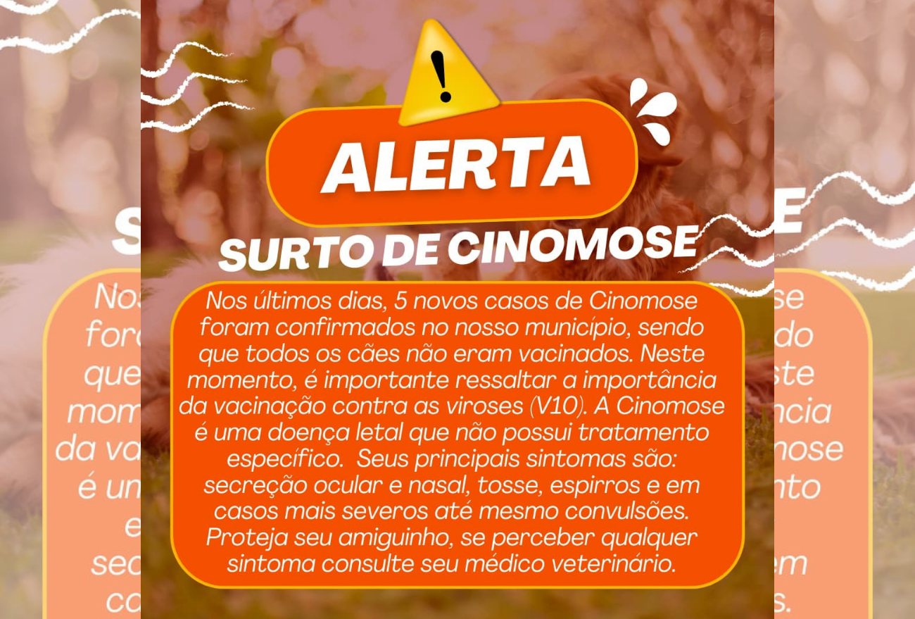 Proteja seu cão: Alerta contra a Cinomose e a importância da vacinação